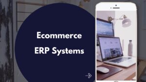 Ecommerce ERP ( Enterprise Resource Planning ) Solutions Course