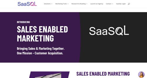 Home page of SaaSQL