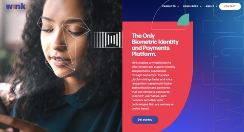 Home page of Wink