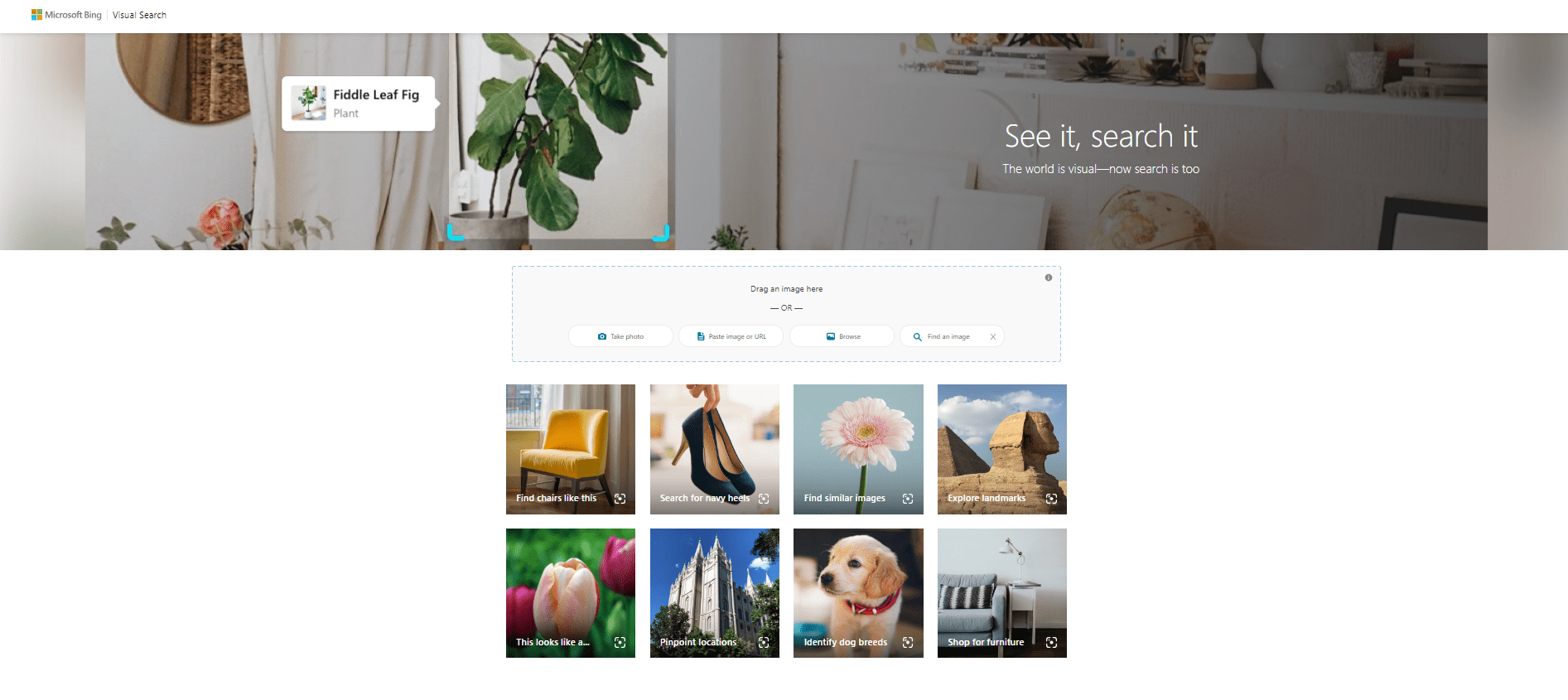 Bing Visual Search