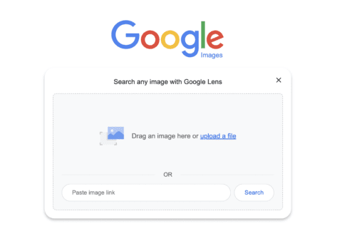 Google images search engine 