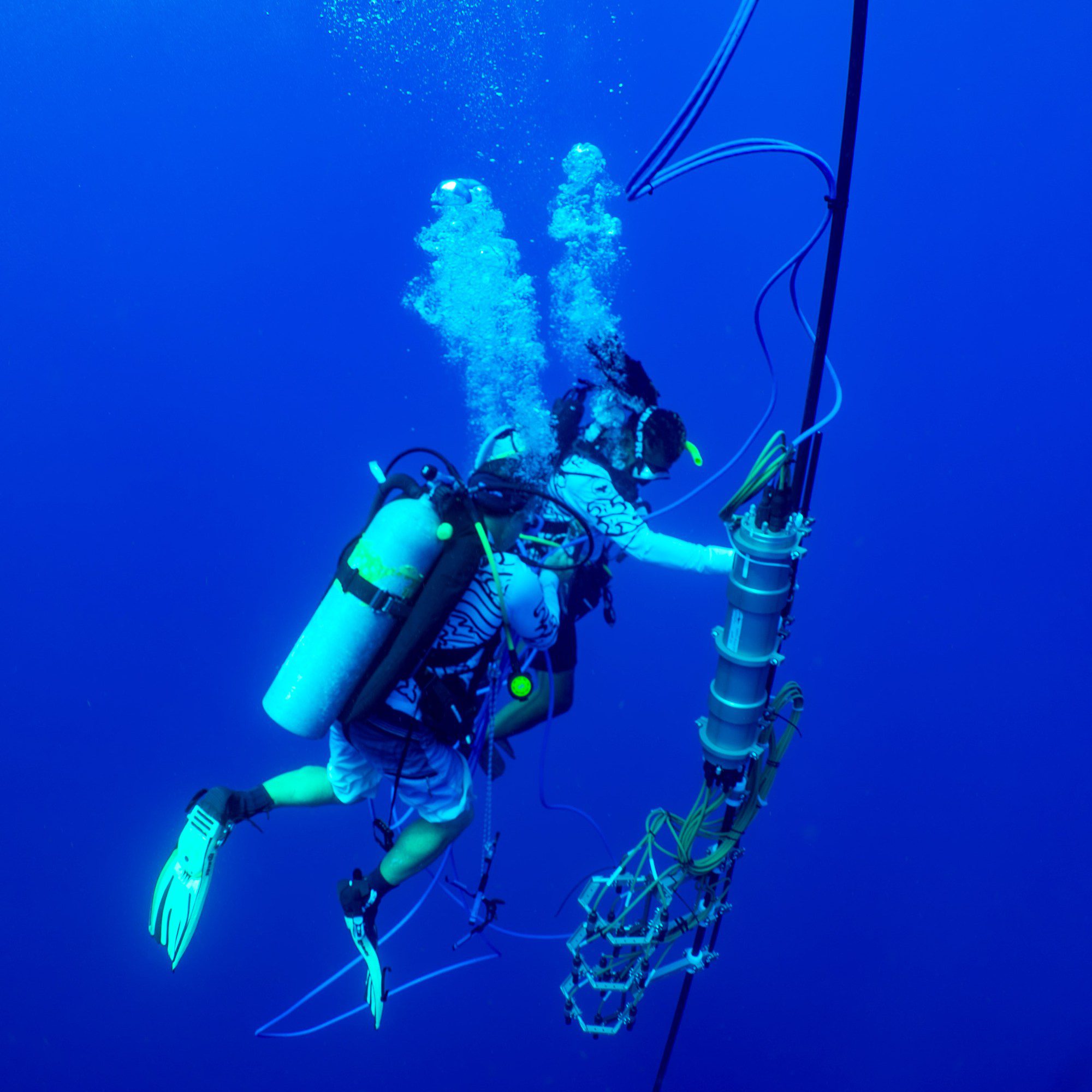a diver with the whale recording unit