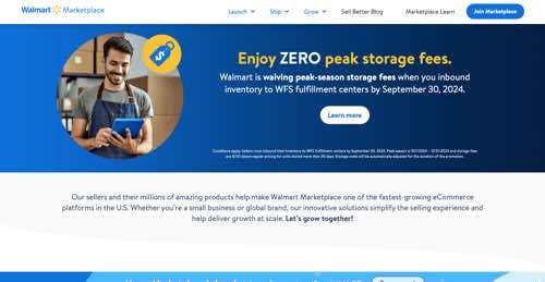Web page for Walmart Marketplace