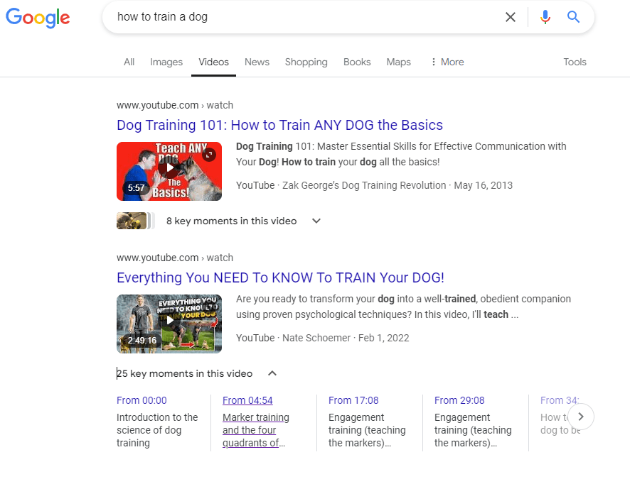 screenshot of Google query 