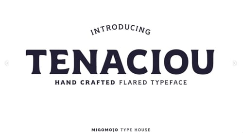 Home page of Tenaciou