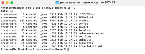 Shopify theme code