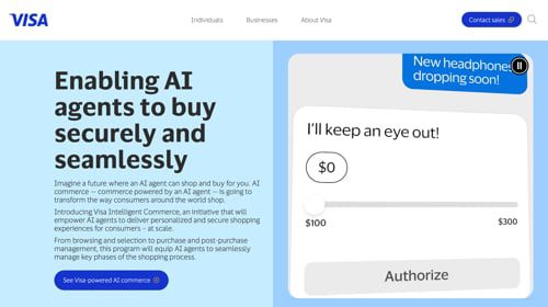 Web page for Visa Intelligent Commerce