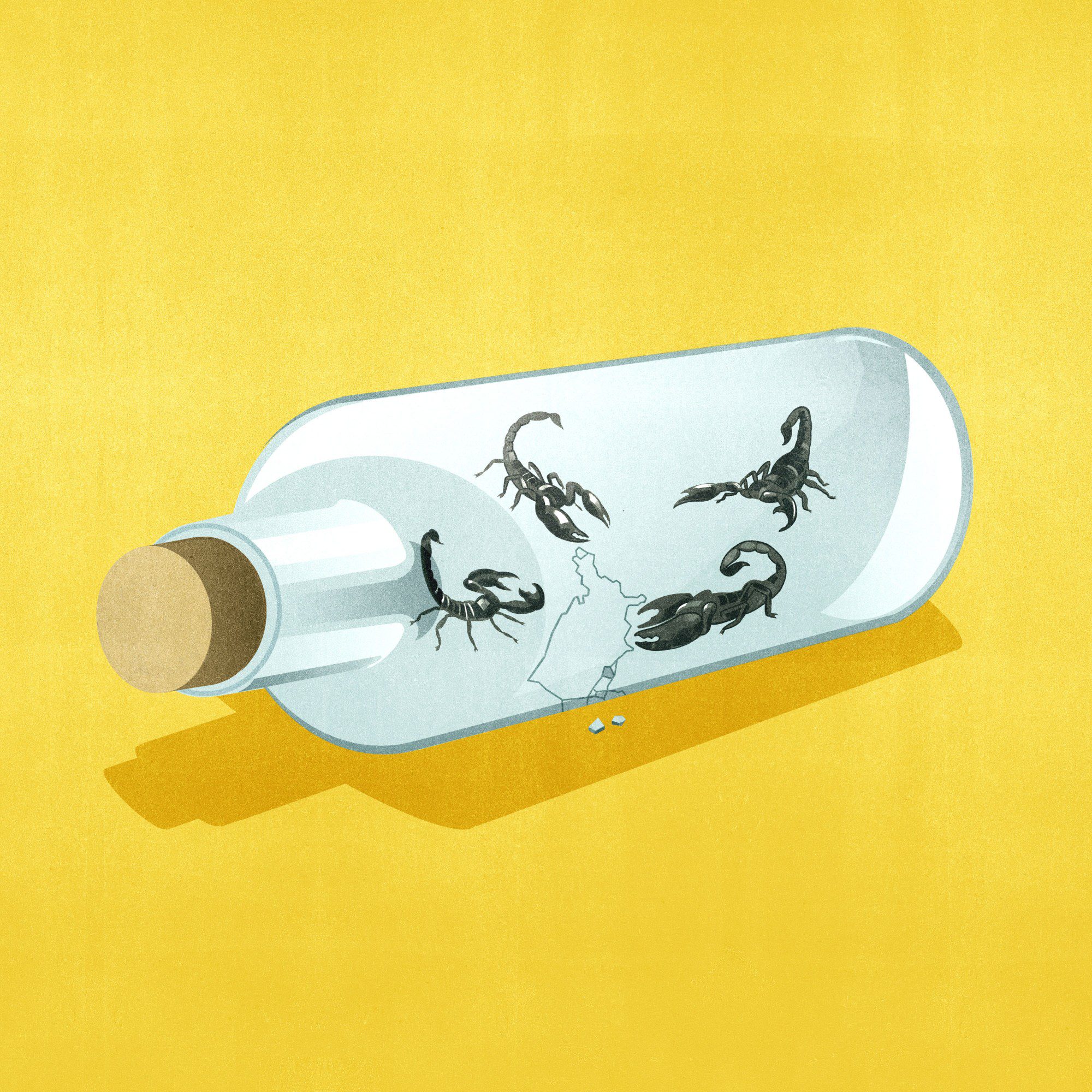 outline of the United States inside a corked glass bottle with scorpions
