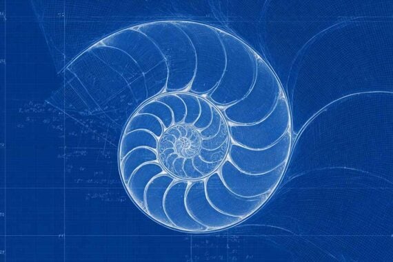 Ilustration of the Fibonacci sequence