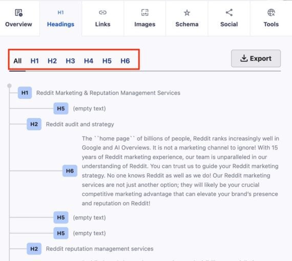 Screenshot of the HTML headings analysis on All in One SEO Analyzer.